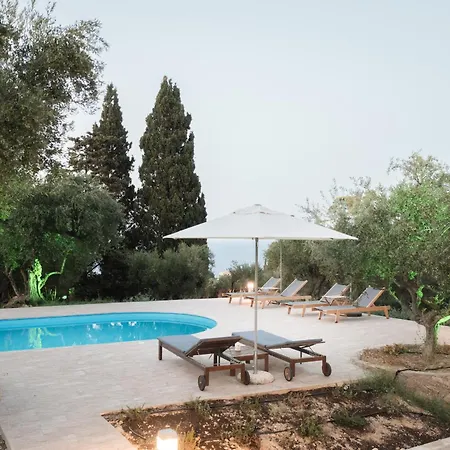 Phoebe Summer House *